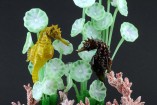 Seahorses swimming in the midst of algae on the bottom of the sea